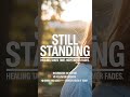 For Everyone Healing in Silence ❤️  I See You #stillstanding #shorts