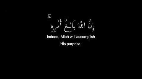 (وَمَن يَتَّقِ اللَّهَ يَجْعَل لَّهُ مَخْرَجًا …) كروما قرآن شاشة سوداء - سورة الطلاق - تركي البدر 