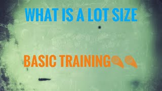 What Is a LOT SIZE *Forex Market*  Basics Episode 5