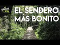 6 HORAS EN LA SELVA DEL AMAZONAS  || CaminanTr3s, El tercero eres tú!!