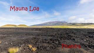 Phaedra / Mauna Loa (Official Video)