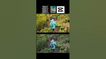 Capcut cinematic color grading tutorial #youtubeshorts #shorts #viralvideo