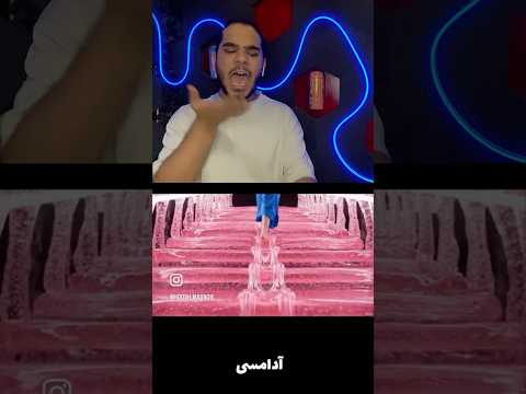 حاضری رو کدوم یکی از پله ها راه بری اینا چی بود که دیدم 