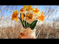 Нарциссы из фоамирана - быстро и легко.  Daffodils from foamiran.