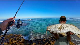 Fishing For MULLOWAY off the BEACH - Then This Happens!