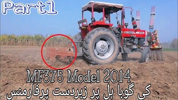 Tractor Stunt | MF375 | MF375 with 5 tine Gobha Chisel Powerful Performance | Sial Agri Farm | Part1