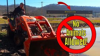 Our Goat Went IN the Dollar General! - Time for Some Changes... by Peek's Peak Hobby Homestead 1,359 views 2 months ago 22 minutes
