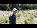 Tee to Green: Collin Morikawa