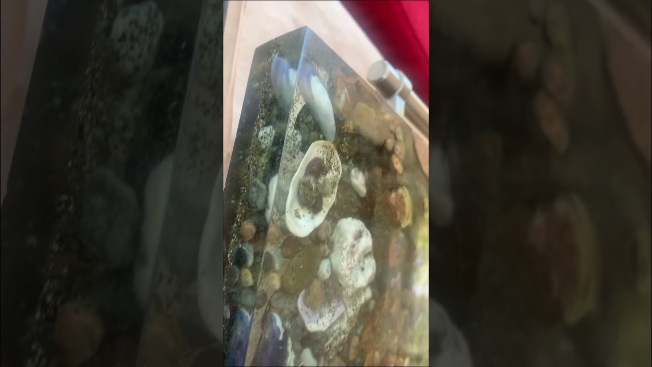 Tidal Pools - by B-RadDesigns