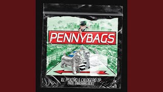 Pennybags