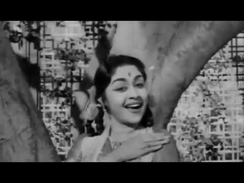 YARUKKU MAPPILLAI  SINGER P SUSHEELA  FILM PAARTHAL PASI THEERUM 1962