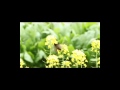 Lovin'You / yuki
