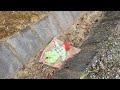 La gentillesse dune mre clibataire sauve un petit garon abandonn jardinage