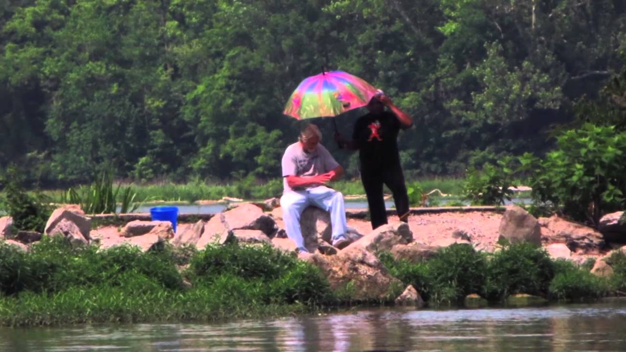 Transforming Nature: Watershed Connections