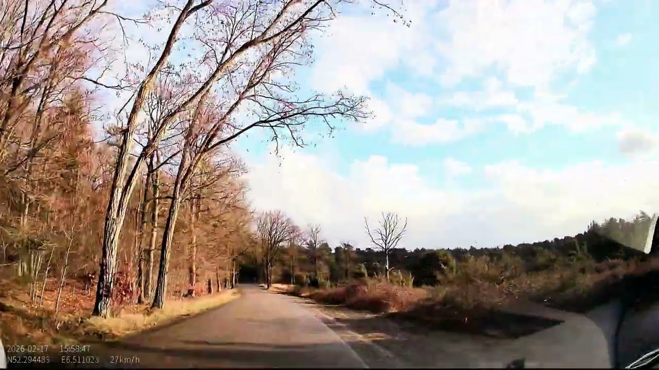 یک روز ساده با رانندگی تو دل طبیعت 🌲🌲🚘 Rijssen ,4K