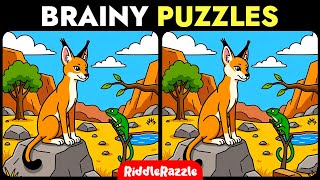 Spot 3 Differences! Train Your Brain: Harder Than It Looks