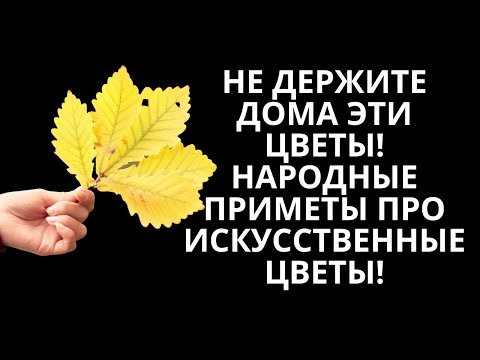 Никогда Не Держите Дома Эти Цветы! Народные Приметы Про Искусственные Цветы!