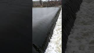 grand rapids mi fish ladder