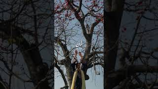 #hussainrehar #viral #trending #shorts #reels