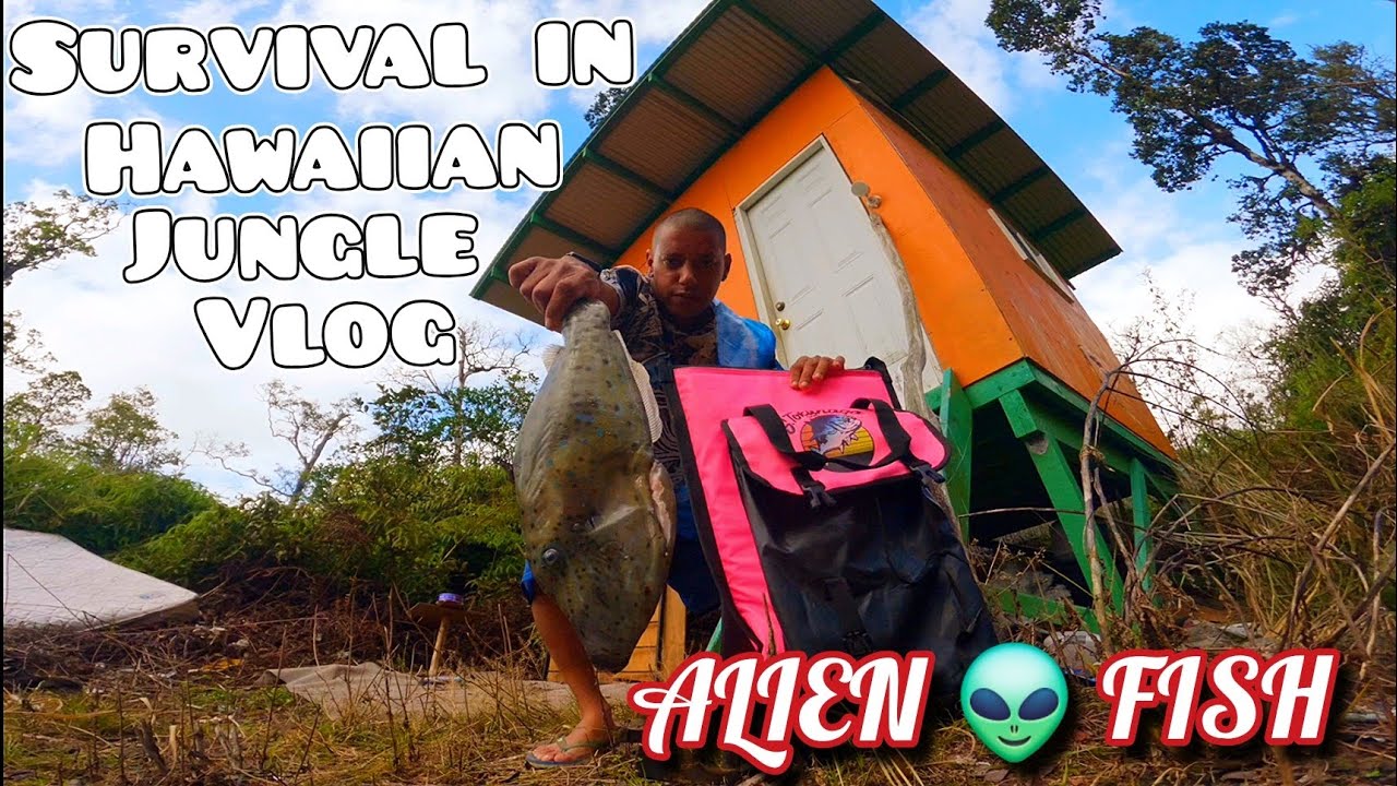 Жизнь вдали от цивилизации, выживание в глубине гавайских джунглей, ловля, приготовление пищи, но...