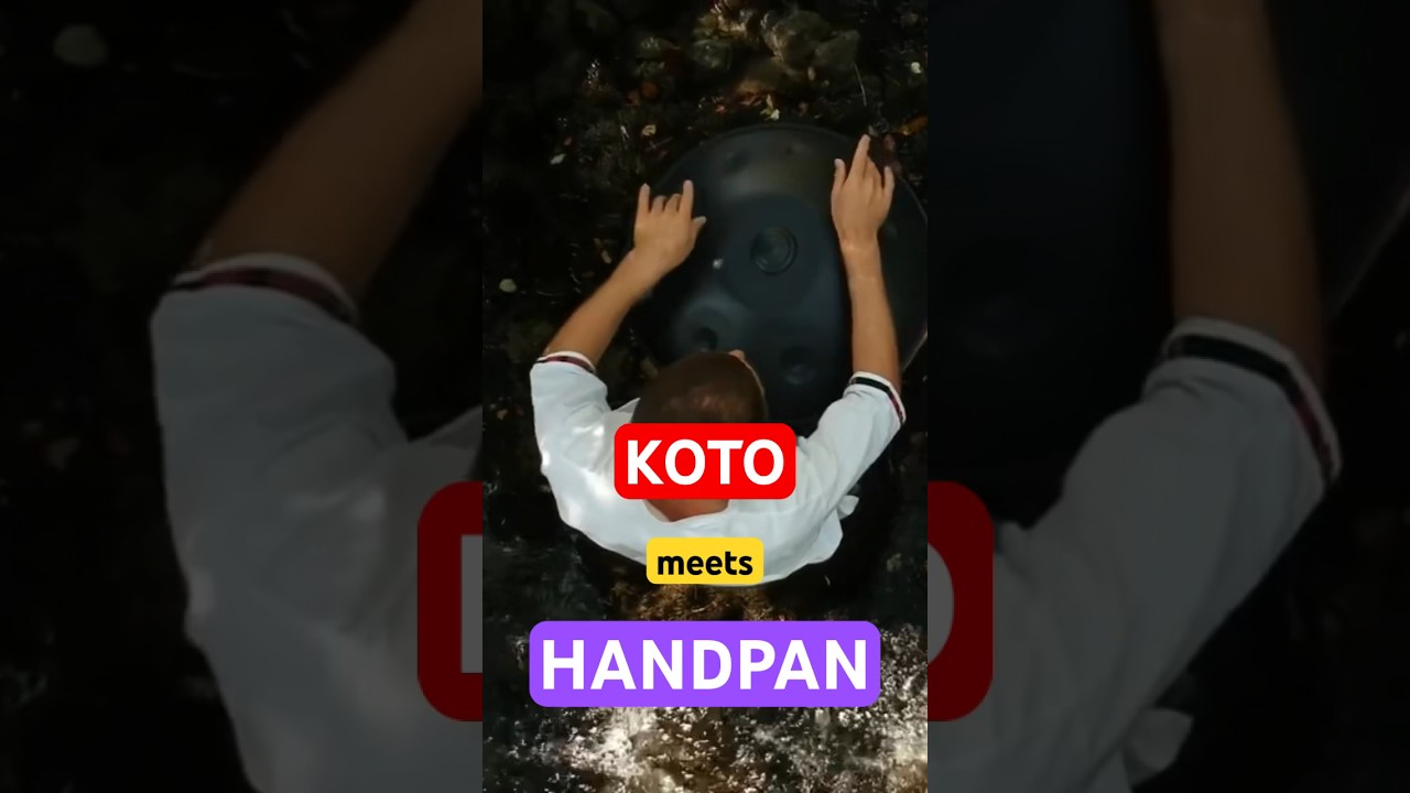 Koto meets Handpan🌊🛸 Ivan Judas ft. VIBE Handpan “POTENTIAL”🎶. #music #koto #handpan #nature
