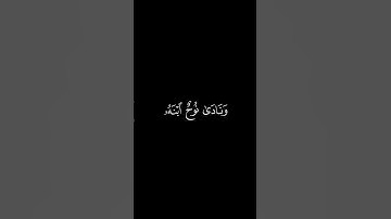 سورة هود {٤٢} المنشاوي رحمه الله تعالى.