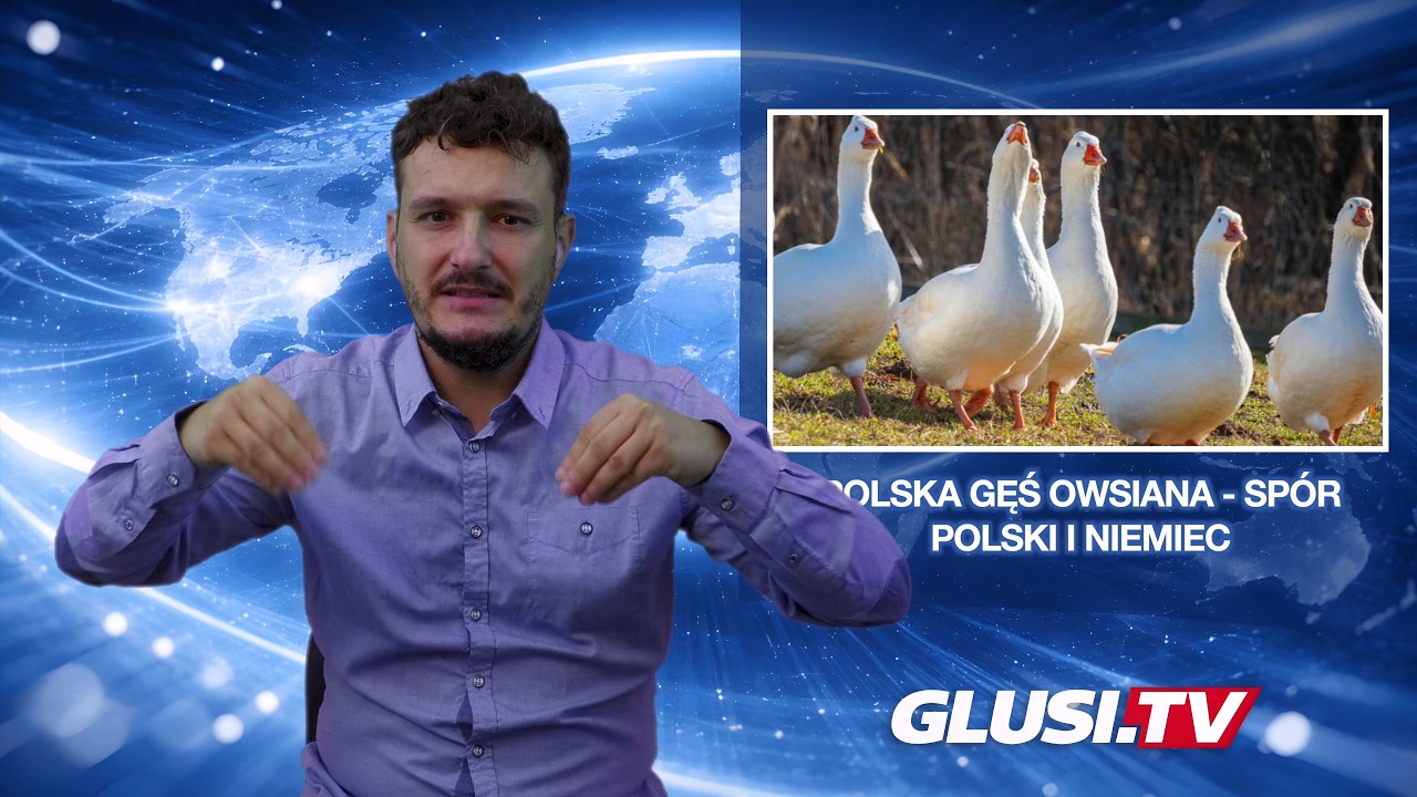 Polska gęś owsiana - spór Polski i Niemiec