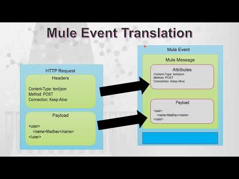 What is Mule