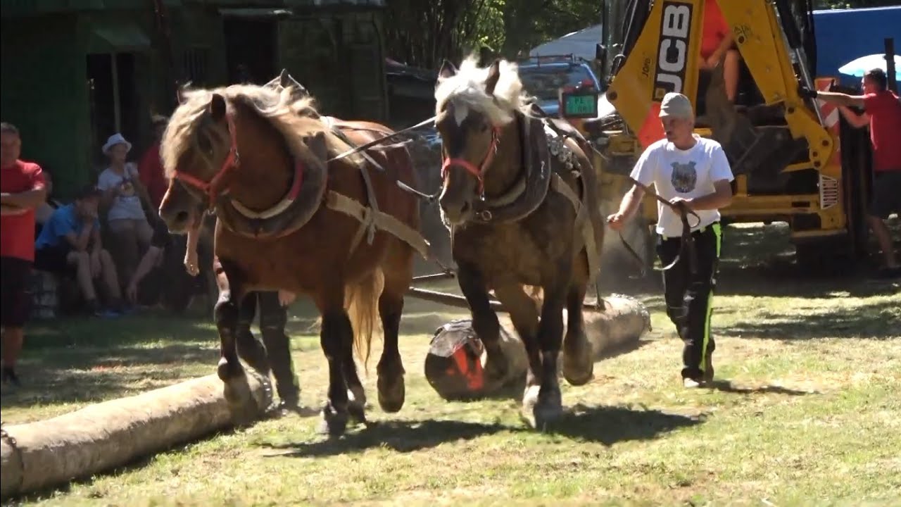 Furmanské preteky v ťažkom ťahu dvojzáprahov (Hruboňovo 2020)