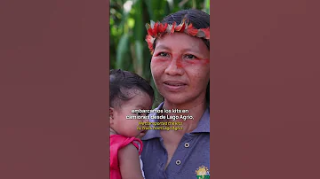 Waorani Communities In The Amazon Are Swapping Fire For The Sun 