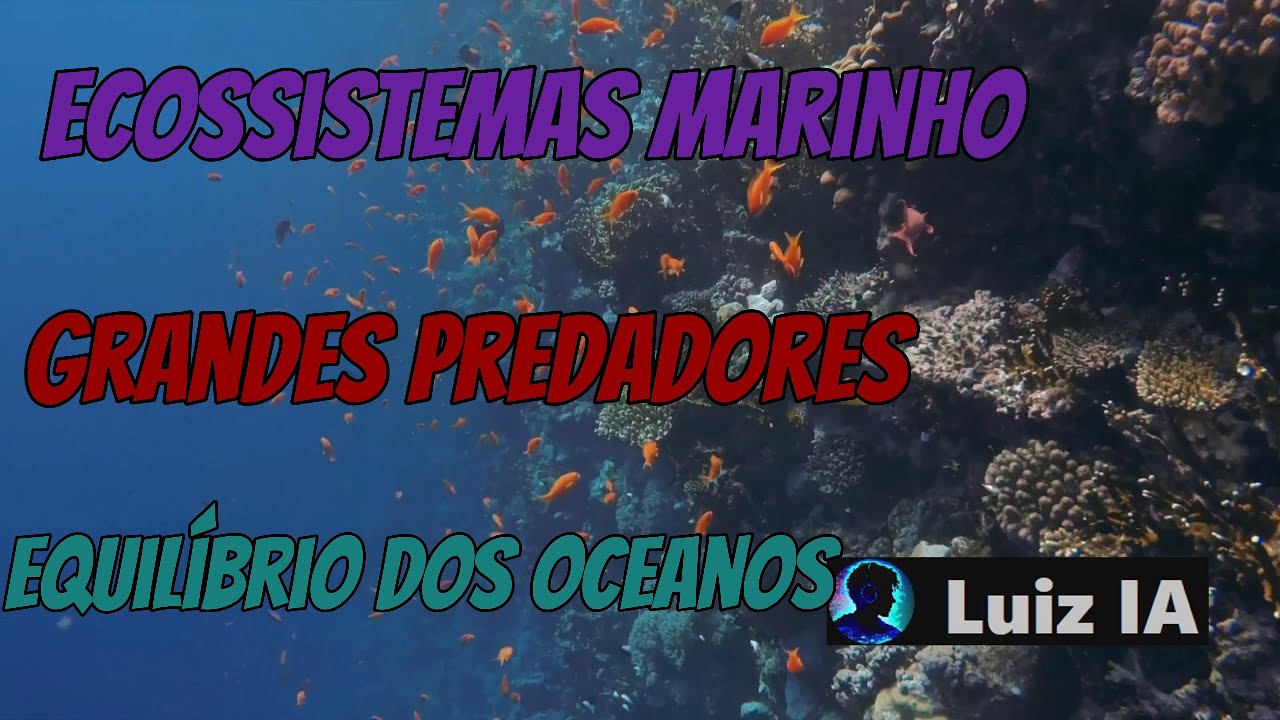 A Cadeia Alimentar do Mar