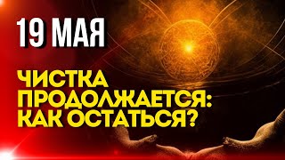 19 Мая: Чистка Продолжается: Как Остаться?