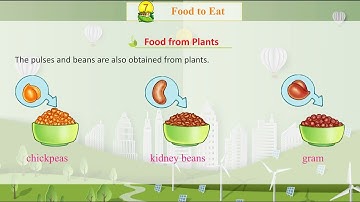 Knowledge Tree Books E.V.S Class 1 Chapter 7