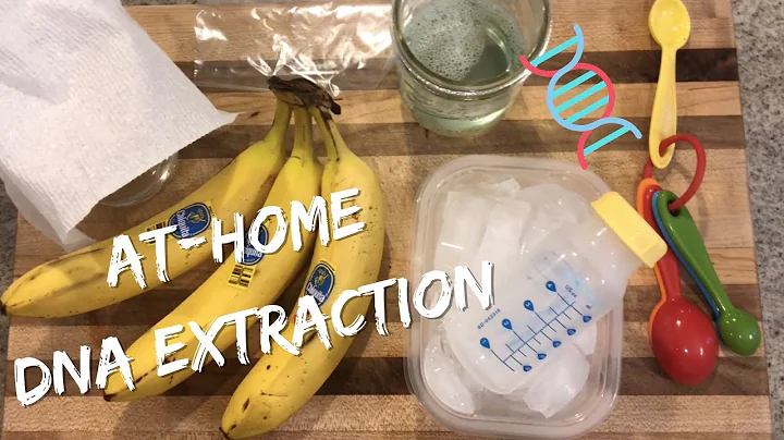 At-home DNA Extraction Lab (Banana)