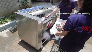 Compact Root Vegetable Washing Machine with Brush Rollers KT-WN300