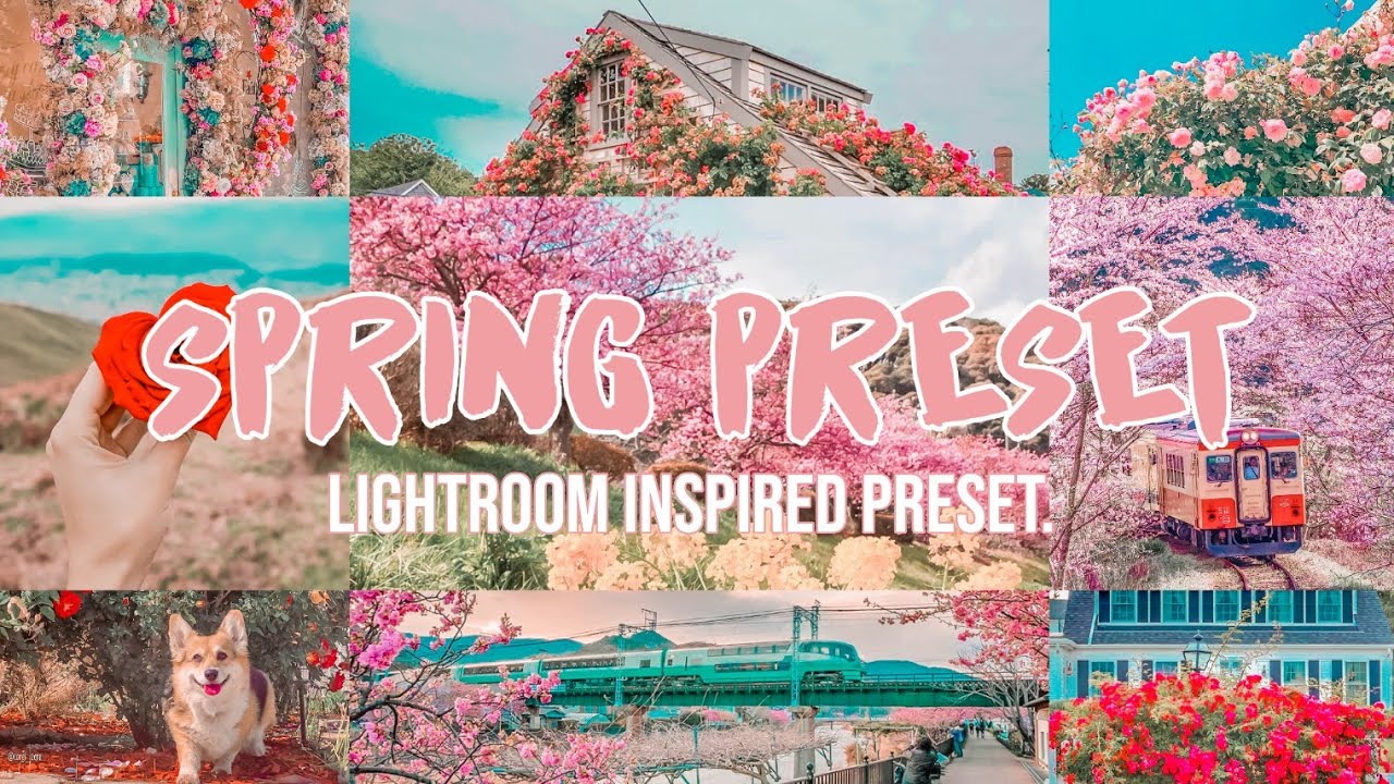 FREE LIGHTROOM PRESET |SPRING tone lightroom preset ...