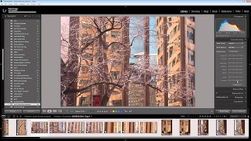 Lightroom - Using Quick Develop to process an image