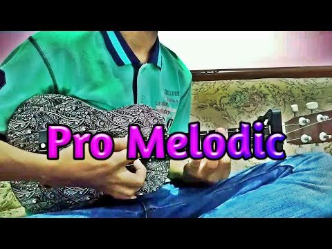 Pro Melodic -
