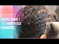 Taking down 1 1/2 month old cornrows!