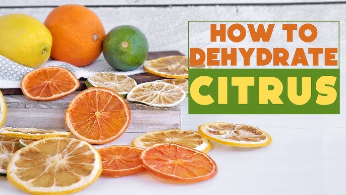 How to make dried/dehydrated citrus - ShortGirlTallOrder