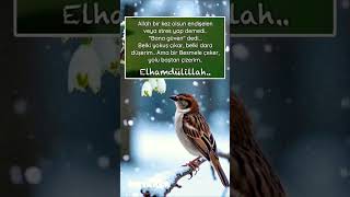 Allaha Güven Elhamdülillah