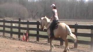 20100417-124918.mpg