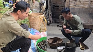 Catch snails in streams and sell them at the market to make a living | Ngoc Dan - Daily life