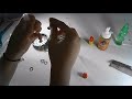 Beginning of video