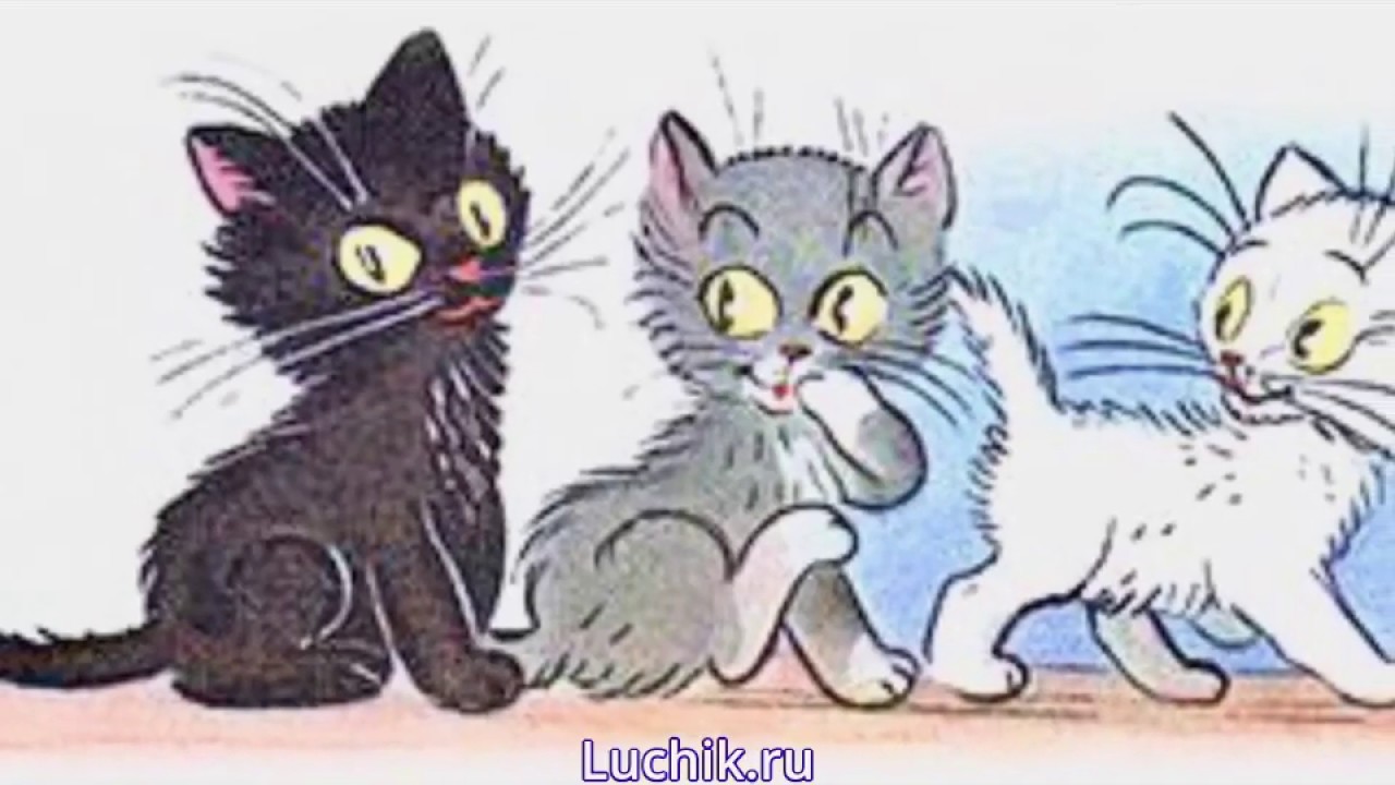 Федин котенок 3 полностью. Три котенка сказка Сутеев. Сутеев в. "три котенка". Три кота Сутеев.