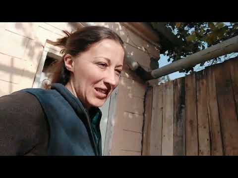 თუ თემა არ მექნება მირჩევნია არ ჩავწერო ვიდეო,ვიდრე ვინმეს გავკრა-გამოვკრა.. გველაძუებო🤣🤣🤣🤣