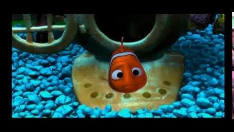 #8 Finding Nemo - Hide & Seek