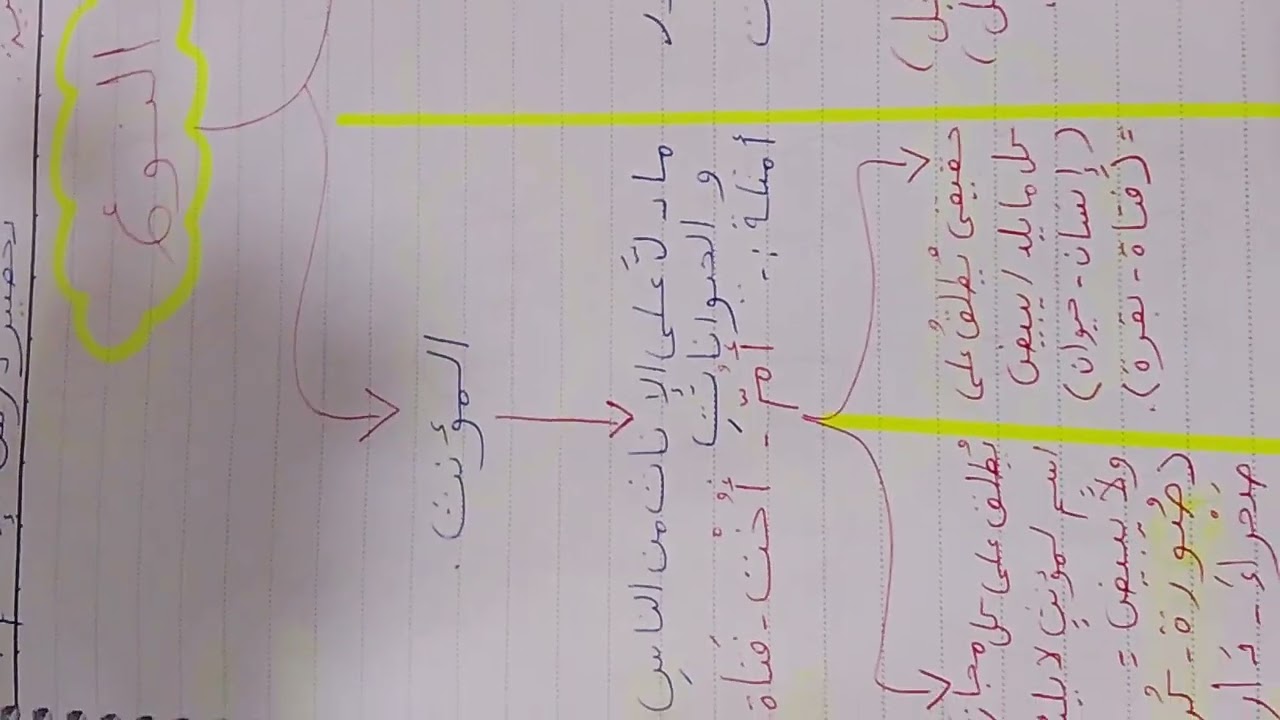 الإسم وأنواعه.