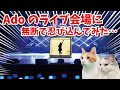 Adoのライブに猫が無断で忍び込んだ結果【コント】 【猫アニメ】