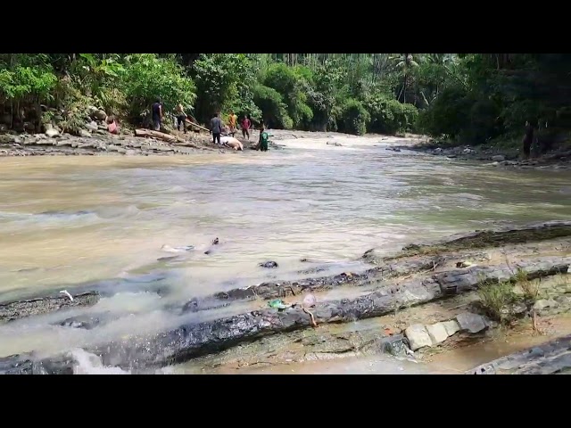 VLOG KALI SIRGADING DI TENGAH KEBUN WARGA class=